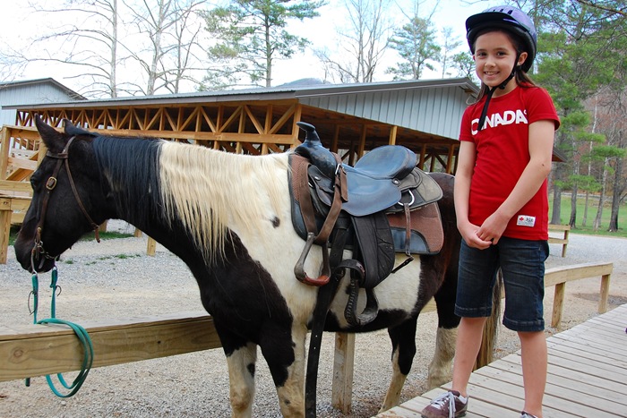 Katie's horse copy