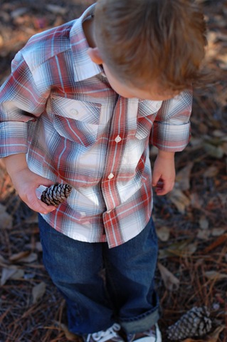 [1 Pinecone1 copy[3].jpg]