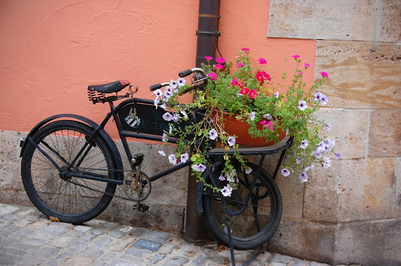 1 bike