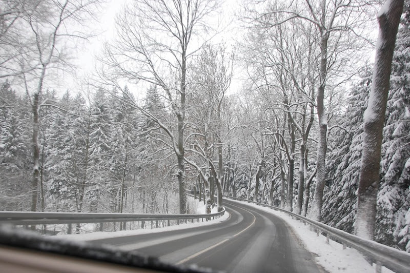 the drive