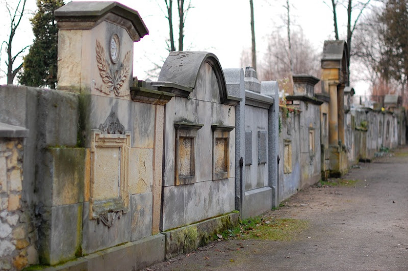 wall