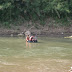 IMG_5864.JPG