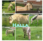 Halla.jpg