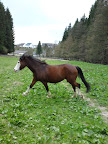 DSC07743.jpg
