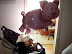P5110127.JPG