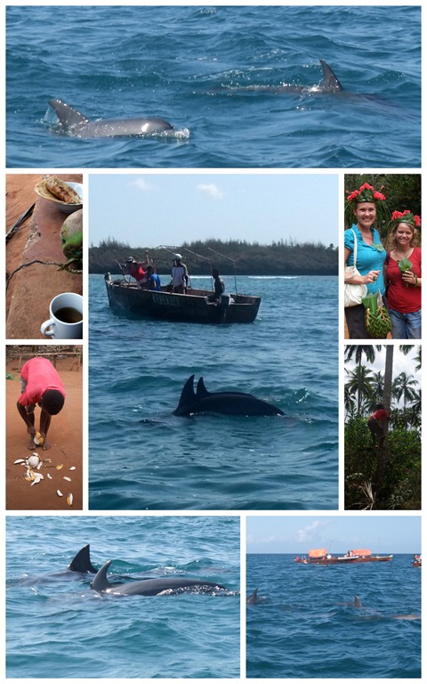 [Tanzania Zanzibar delfin safari[4].jpg]