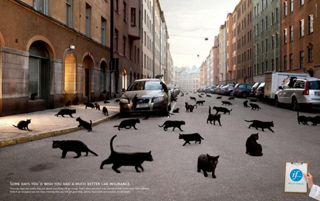 [if_car_insurance[6].jpg]