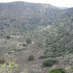 Caldera de Bandama und Pico de Bandama