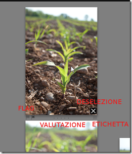 Immagine 011 Immagine 011