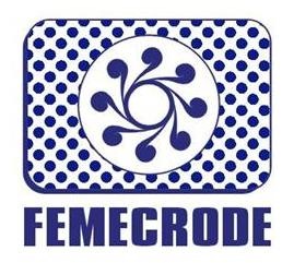 [Logo FEMECRODE 02[4].jpg]