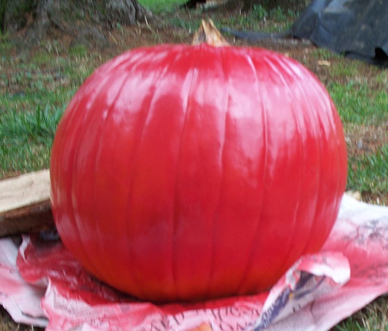 [painted pumpkin big finished[6].jpg]