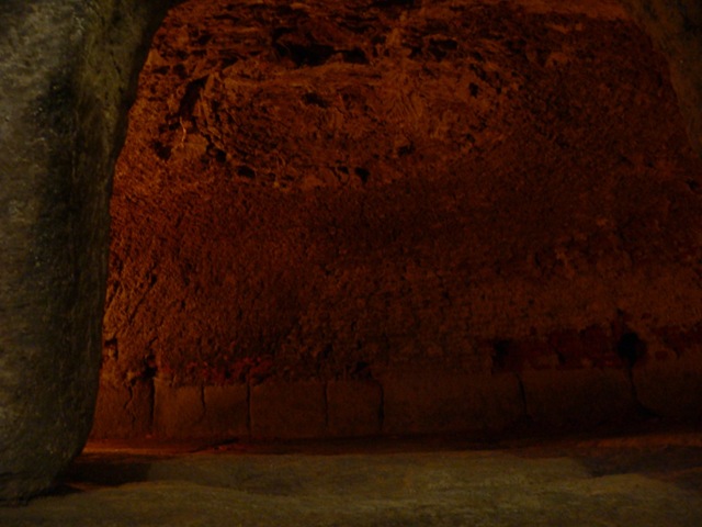 [P11407752.jpg]