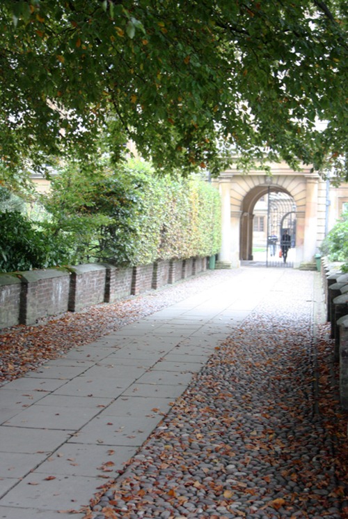 cambridge_35 cambridge_35