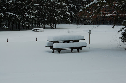 prince gallitzin state park