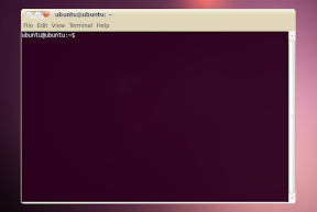 screenshots ubuntu 10.04 beta 1 terminal radiance