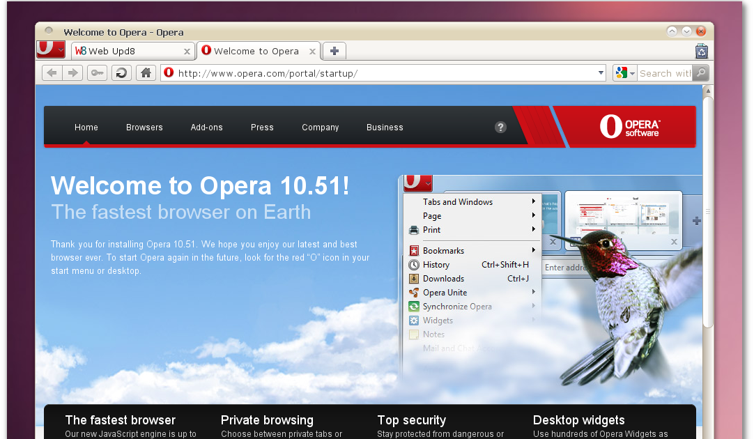 How to check flash player version