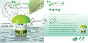 2010 English Packaging