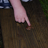 nikon_2317.JPG