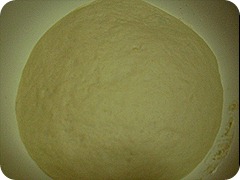 SDC12539 SDC12539