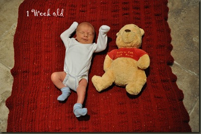 dsc_1085_1 dsc_1085_1