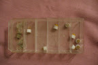 Transistors and bulbs? (Can't find)