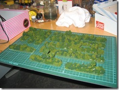 IMG_0048 IMG_0048