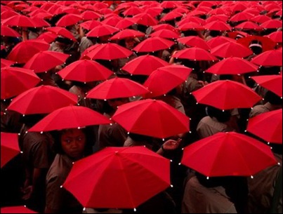Imagens da Semana 61 (42)