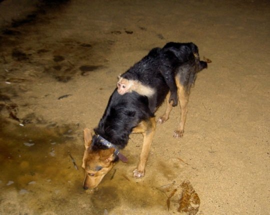 [Imagens da Semana 41 (4)[7].jpg]