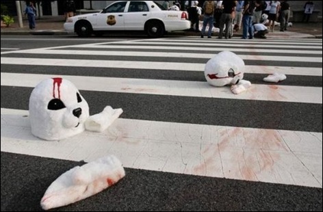 Imagens da Semana 45 (8)