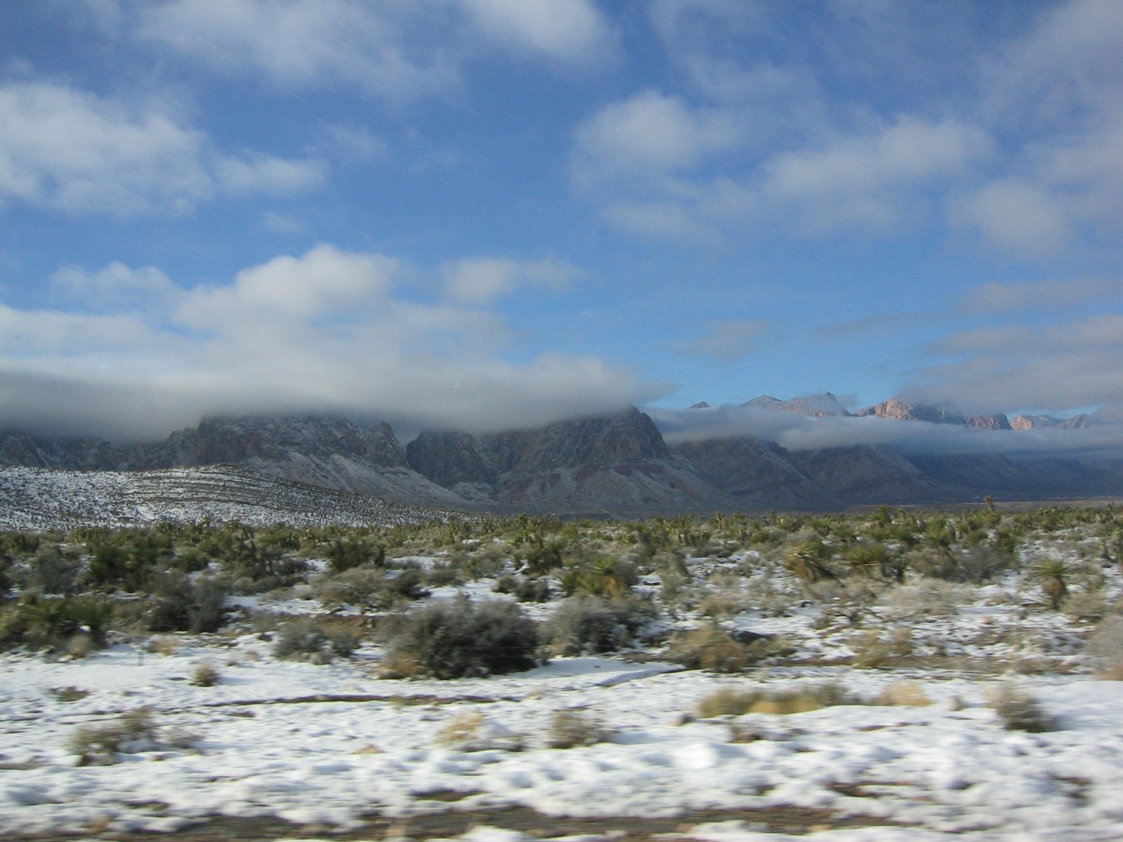 [2004_01_02 080[2].jpg]