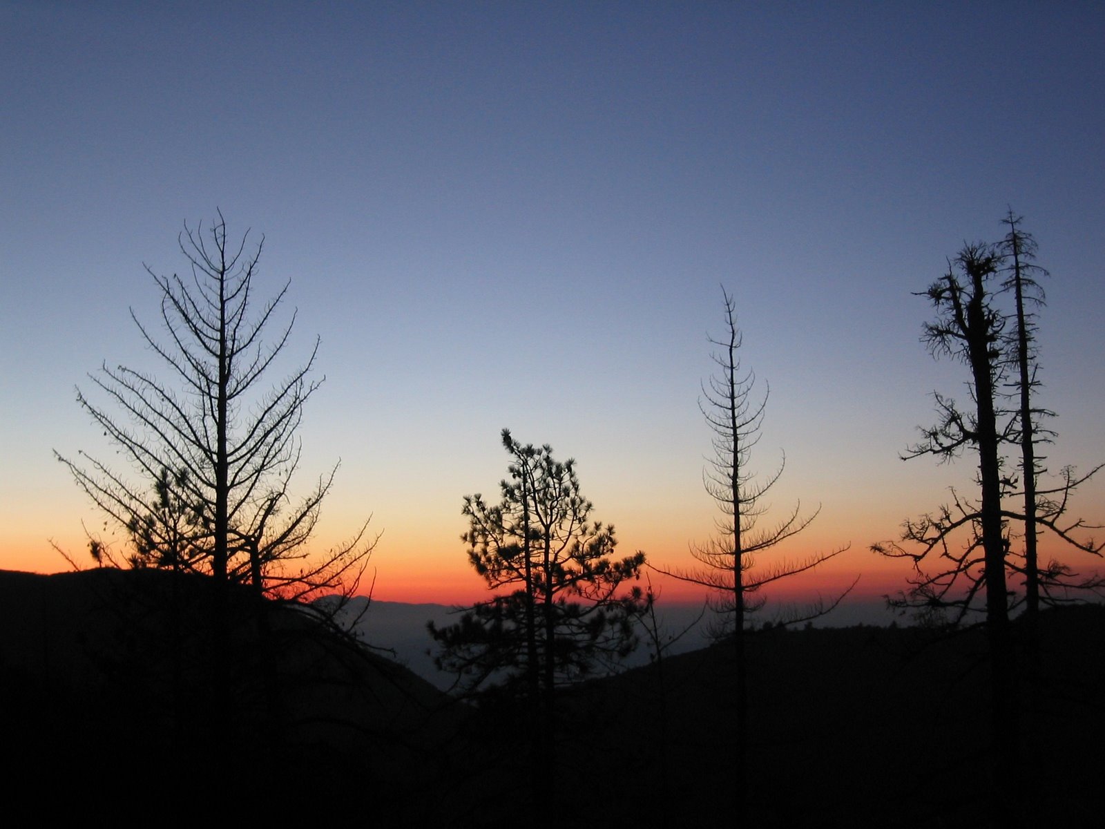 [2005_02_05 028[2].jpg]