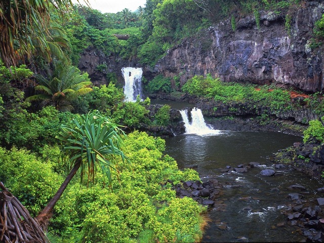 [7 Pools of Oheo, Maui, Hawaii pictures[9].jpg]