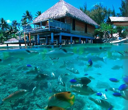 [borabora2[5].jpg]