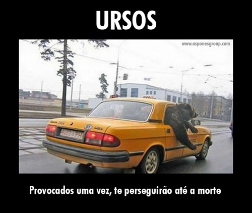 Ursos, Fail, Aspones Ursos, Fail, Aspones
