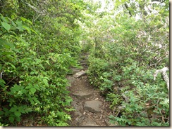IMGP0608