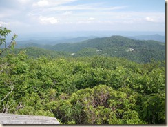 IMGP0610