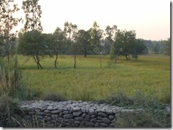 DSC00746