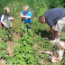 More Farming!