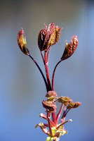 IMG_8587.JPG Photo