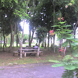 @UPLB