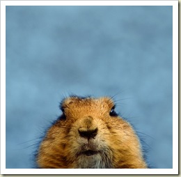 444702922_299ec18649