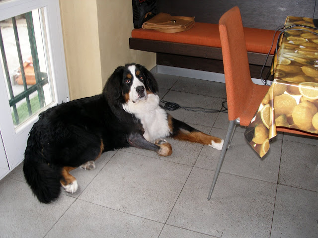 P3300001.JPG
