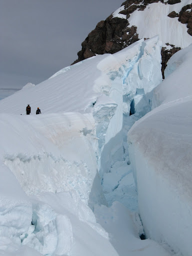 Crevasses in the UpperLinda Glacier