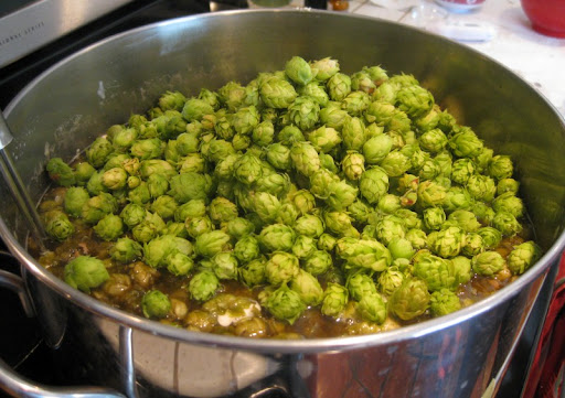 Cascade/Nugget Wet Hop IPA