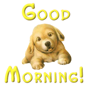 GOOD MORNING GOOD MORNING