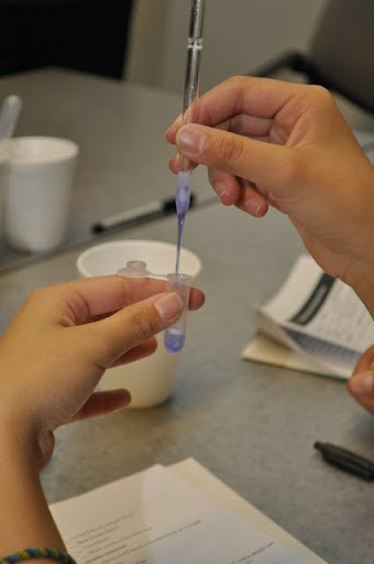 Protein Purification