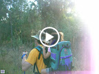 DSCN4597.MOV