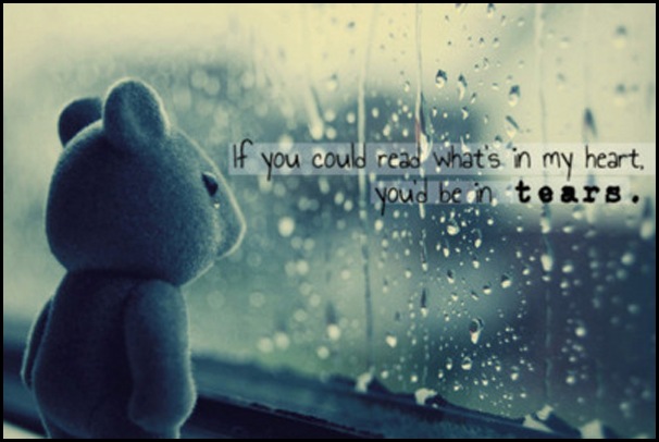 Ursinho-Janela-Chuva-Gotas-Tristeza-Chorar Ursinho-Janela-Chuva-Gotas-Tristeza-Chorar