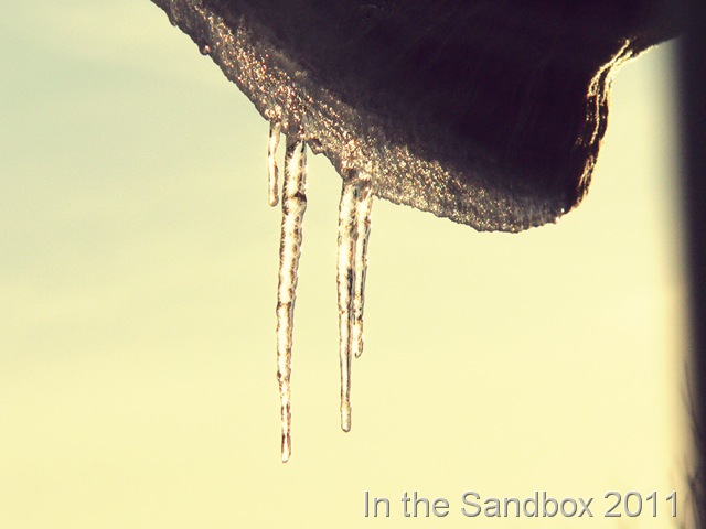 [Icicles with NN Goldflake action[8].jpg]
