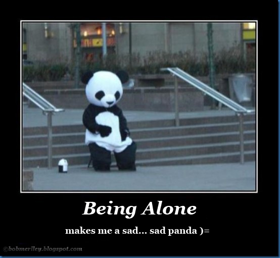 Sad panda alone